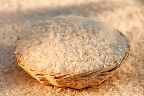 تصویر 4 از برنج طارم فجر + بسته بندی ویژه